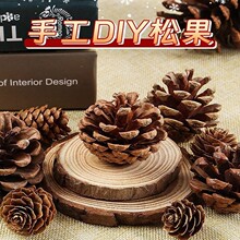 �ɹ������b�diy�����b��׃��@�h���������С�ɻ��ֹ���֦����