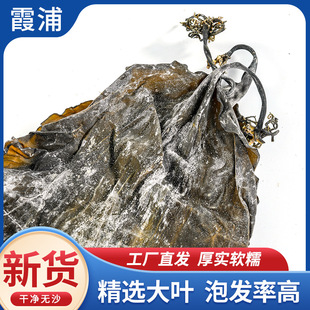 ����ϼ�ָɺ������r������؛�خa���񺣎��z�Ҝ�����ɴ������