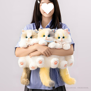 �W�tͬ�� �ɐ�С̖��ż؈�䱳���������ż����ë�q������հ��]