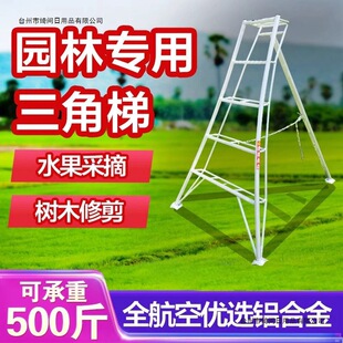 �@�֌����������X�Ͻ���@��ժ�@ˇ�޼�������ˮ����ժ�����_����