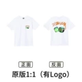 Xb2117 white