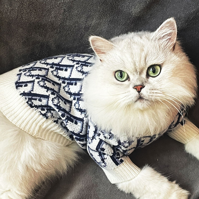 Pet Sweater 6