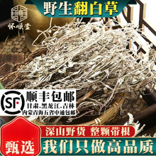 野生翻白草500克g新货材整颗切碎番白草另售苦丁茶绞股蓝