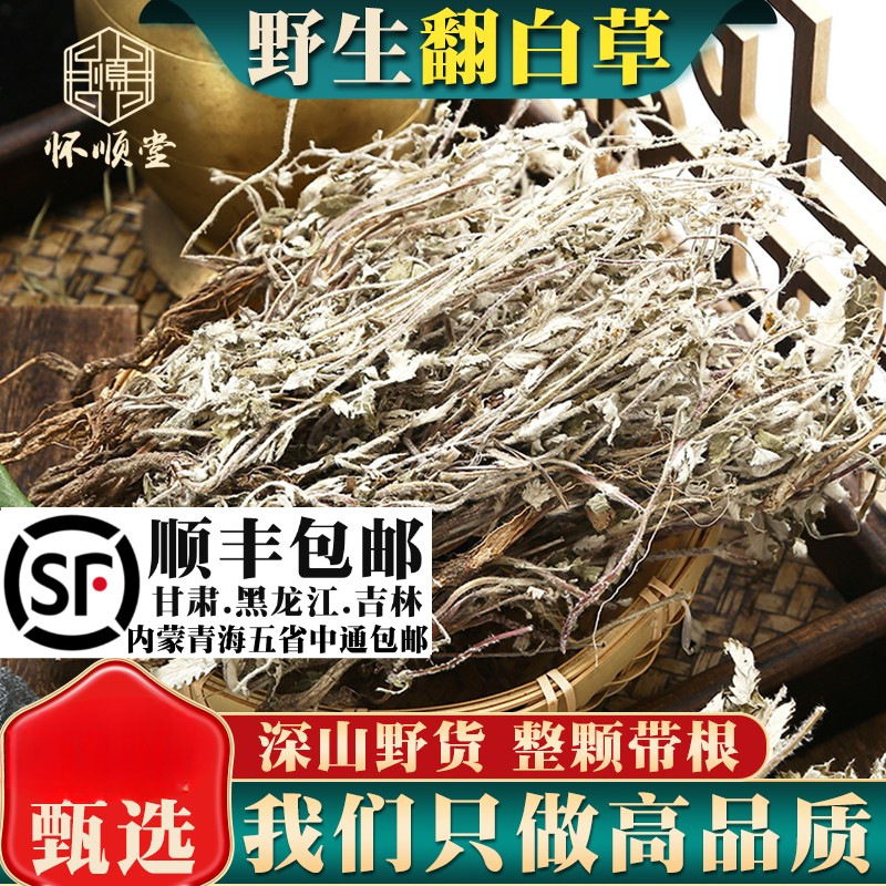 野生翻白草500克g新货材整颗切碎番白草另售苦丁茶绞股蓝