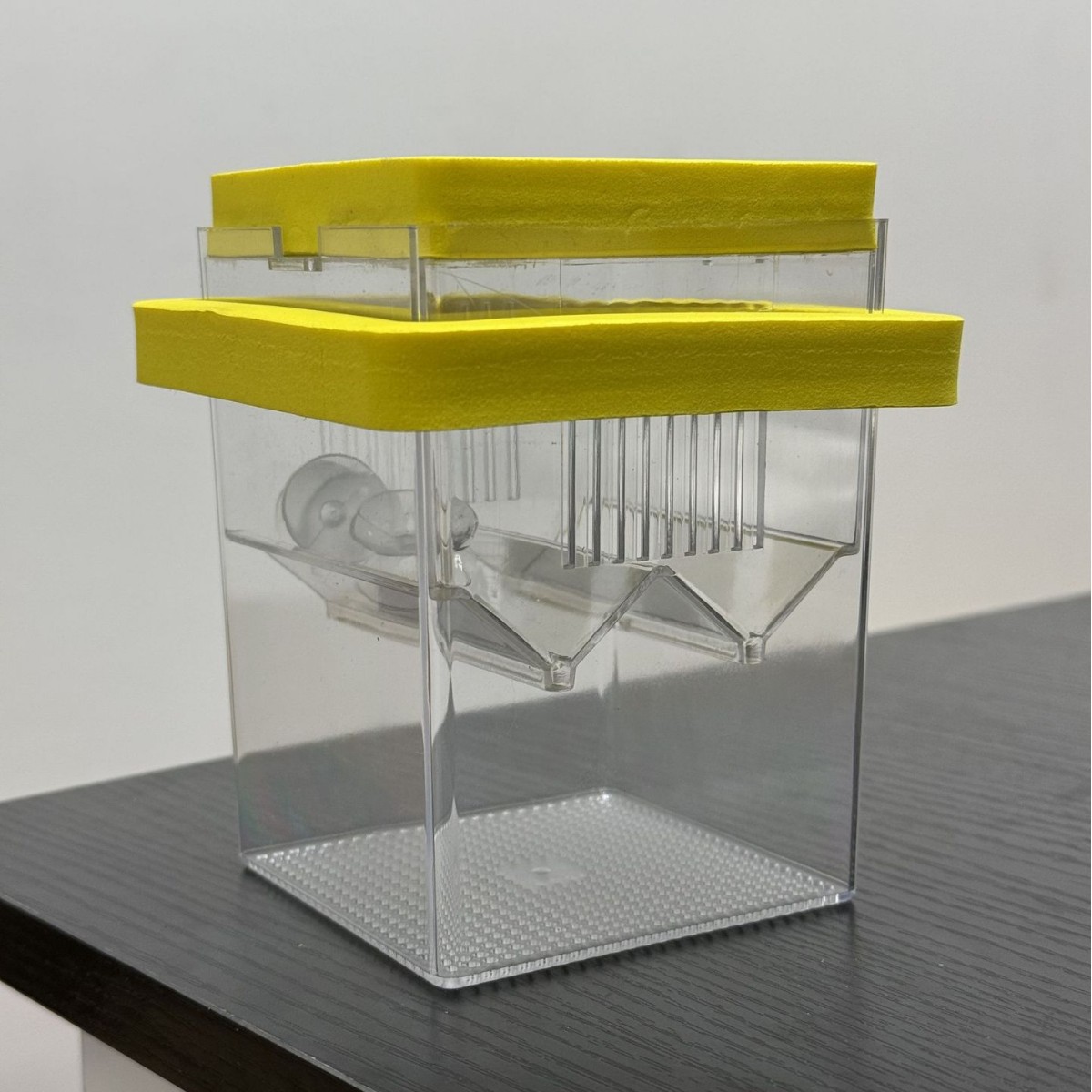 Caja de aislamiento de eclosión flotante cuadrada, caja de cría, pequeña incubadora de peces hembras, criador de guppies en la pecera