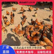 �u�����l�K�����u������wС�_�të���u���r����B�u֧�ּ��gָ��