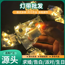 LED装饰灯;室外LED