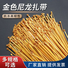 ��ɫ�������������վo������������С���iʽ������ɫ����������ɫ