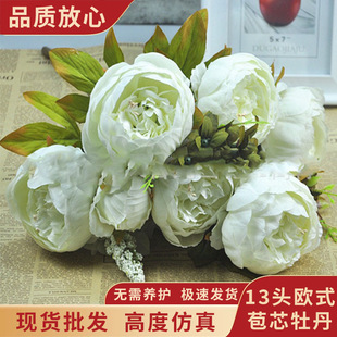 13�^�Wʽ��оĵ�� ���滨�ٻ���c��Y���üҾӔzӰ�[���Ʒ�b�