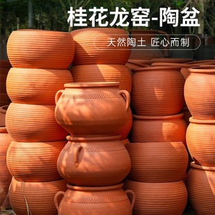 �����G�t�����չވ@ˇ�M�ϻ������������Nֲ���轁��