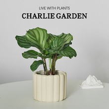 ���O���������Ի����҃����[���B����~�Gֲ�W�tINS�L������ֲ��