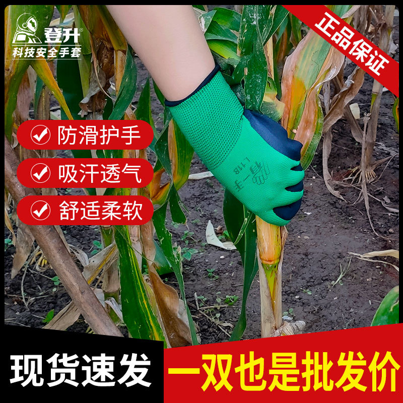 Guantes especiales para la recolección de maíz guantes de rotura de maíz antideslizante transpirable jardín maíz recogiendo guantes secos de granja
