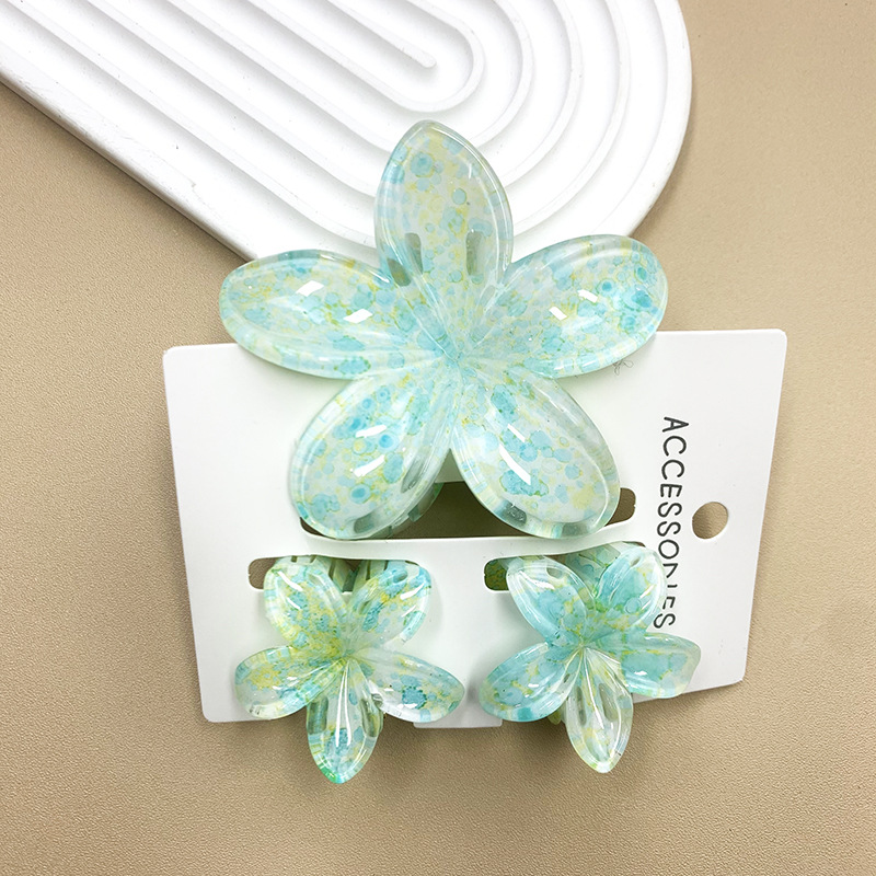 96g Weight Hair Claws Hair Accessories Type 1 Set Quantity Daily Occasion Plastic, Resin Material Plumeria Pattern All Seasons Season Women's Gender Stoving Varnish Design Cute Style Cute Women's Plumeria Plastic Resin Stoving Varnish Hair Claws 28