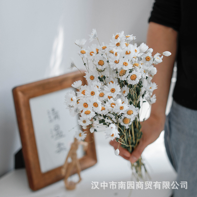 Bulk Natural Dried Daisy Bouquets, Rolandes Flowers, Rhododendron Birds, Real Flowers, Home Decor Flower Arrangement DIY Ornament