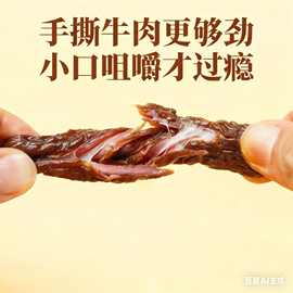 牛肉干内蒙古特产风干牛肉正宗手撕牛肉棒8成干休闲健身牛肉零食