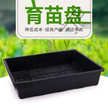 多肉育苗框种菜盆特厚无孔收纳框花苗种花实心加大插播扦插塑料托
