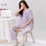 新款短袖大码夏季家居服