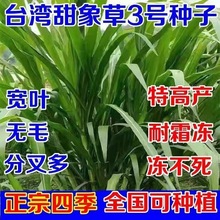 ���羳��؛�����~�oë�����3̖���������ݷN���ļ�����������ι