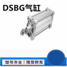 DSBG/DNG-160-25-50-100-125-150-175-200-250-300-400-500-PPV-A