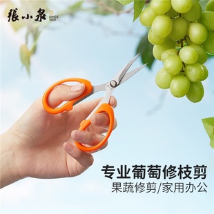 Zhang Xiaoquan Scissors Grape Pruning Fruit Shears Grape Branches Special Fruit and Vegetable Tree Pruning Floriculture Pruning Shears FL-21