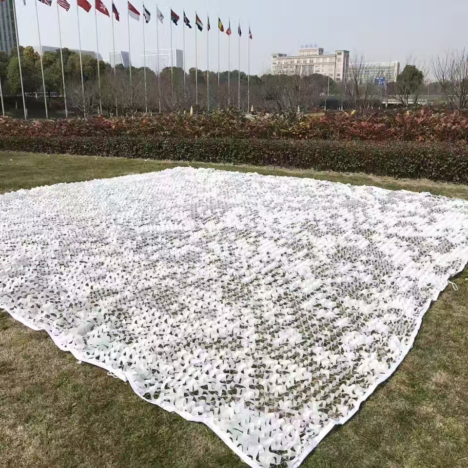 2025-03-10 21:20:01.jpg