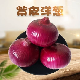 苹果;柑桔;其他水果