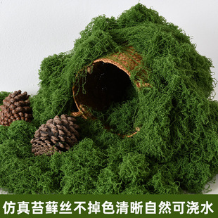 ����z��̦�\��Ƥ�������̦΢���^���ò�ƺ�辰��������쾰���l