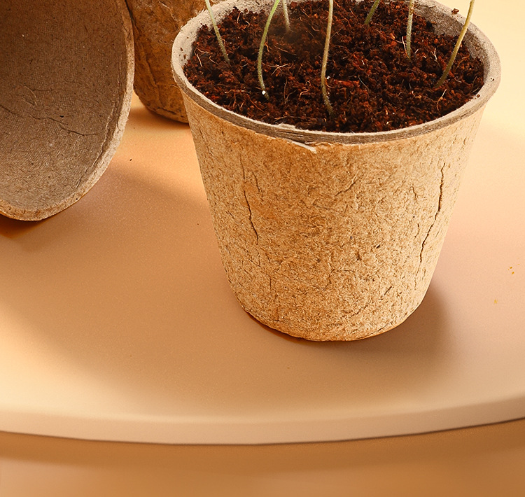 阳光种植小屋详情 (21).jpg