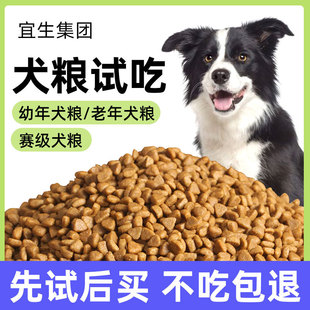 Dog food factory 230g trial fresh meat full price into dog food puppy food small dog dog food wholesale in stock generation