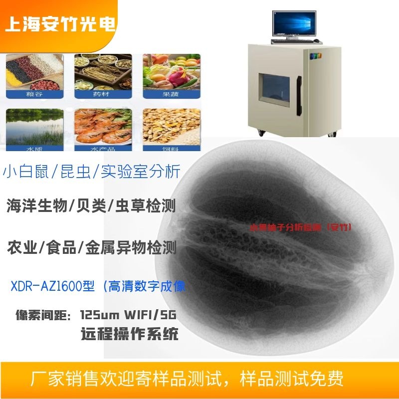 X射线机榴莲空房X光机检测虫洞虫蚀农业水产内部结构发育检测设备