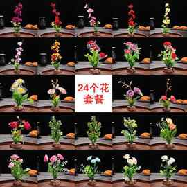 酒店意境菜品装饰冷菜盘饰餐饮刺身摆盘花草小摆件寿司围边点缀花