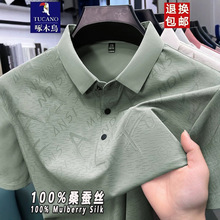 ��ľ�Bɣ�Q�z����t����ʿ2026�ļ��¿���z�����w��POLO���ְ��bT