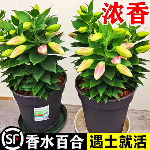 �ٺϻ��N���M����ˮ�ٺ��ļ��û��B����ֲ���҃��r�����Ի��Nδ��