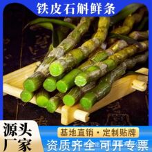 安徽正宗霍山铁皮石斛鲜条新鲜石斛煲汤榨汁产地直发250g