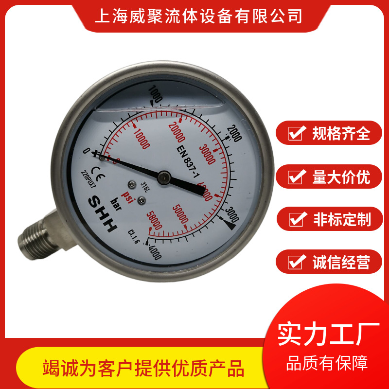 不锈钢高压防震压力表600MPA。径向外螺纹6000BAR公斤 轴向法兰边
