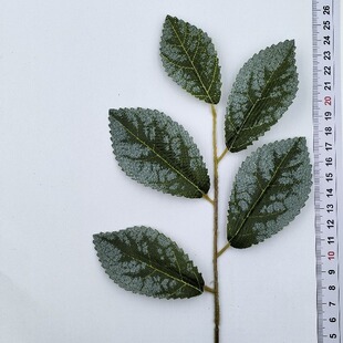 �S�����l�����~�����~�}�Q�~���X�~���~��֦�b����