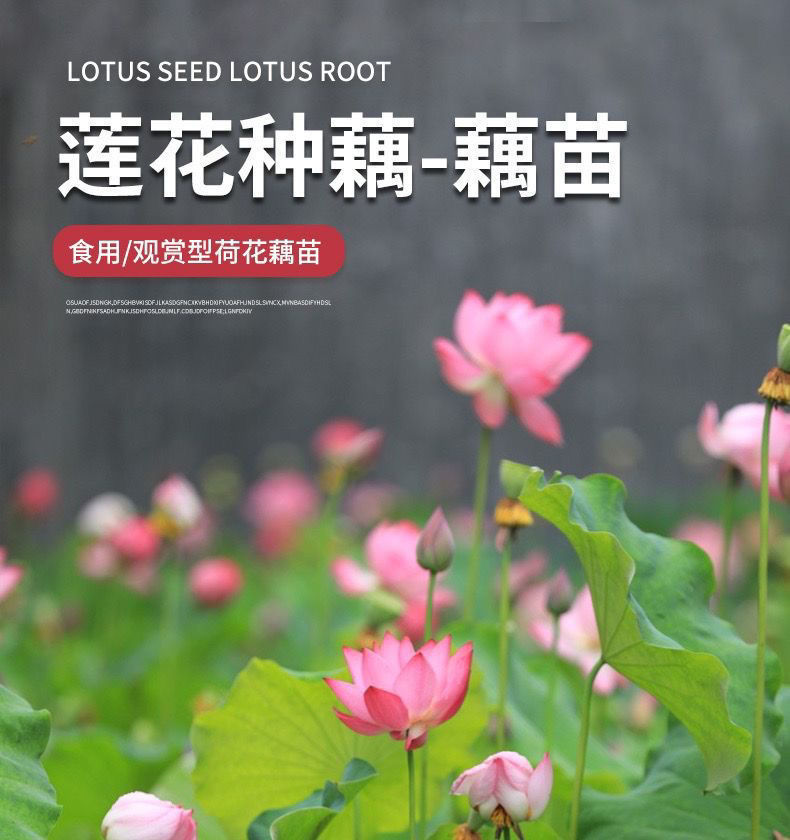 ca58634d-5af3-46d7-b9fb-951e851c4dd4.jpe