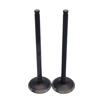 Cross-border compatible with the Chunfeng 500 ATV, C5 intake valve assembly, KQ-63 (Motorcycle engine and accessories)