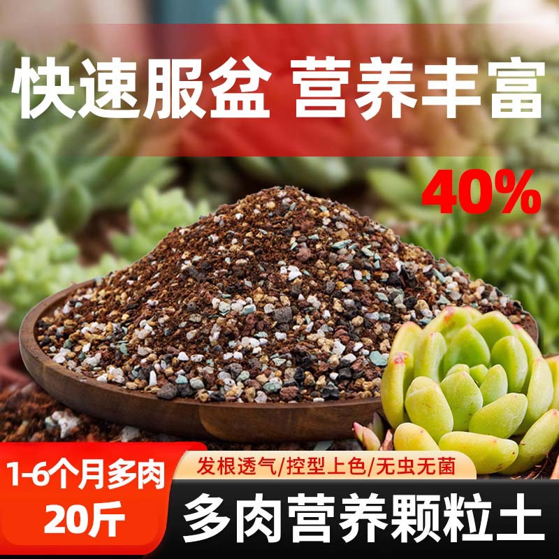 Succulent soil [40% particles] 10kg
