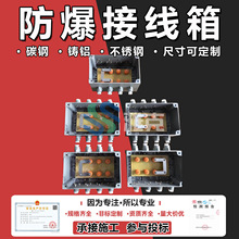防爆接线箱 IP60防爆阳极分线箱 阴极保护阳极接线箱 阴极分线箱