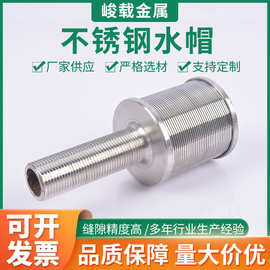 供应304/316L/2205不锈钢排水帽滤水帽过滤器滤头滤帽耐腐蚀