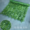 【Color Seal】 Green Soviet leaf fence