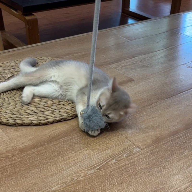 猫咪玩具响铃弹力兔毛球逗猫球小猫自嗨荡秋千可伸缩弹力绳逗猫棒|undefined