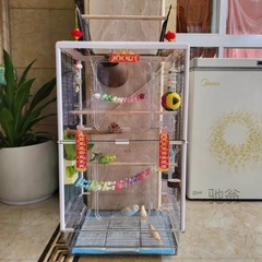 麓f大型鸚鵡籠鳥籠觀賞籠牡丹虎皮玄鳳小太陽透明互動鳥籠子鴿子