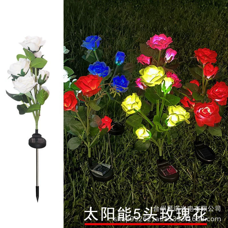 흰색 다섯 머리 장미