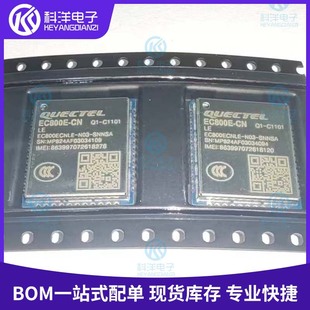 Quectel Ec800Ecnle-N03-Snnsa Lcc-Lga-109 2G/3G/4G/5G Model