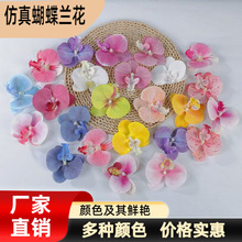 3D打印胶片蝴蝶兰大号喜糖盒装饰花婚礼庆典背景布置伴手摄影装饰