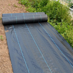 Anti-grass cloth agricultural orchard greenhouse gardening vegetable farmers weeding cloth anti-aging anti-grass cloth perforated anti-grass cloth wholesale