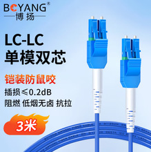 ���P��ż����w����LC-LC3�׆�ģ�pо�p����ȼ�͟��o�u���w��β�w