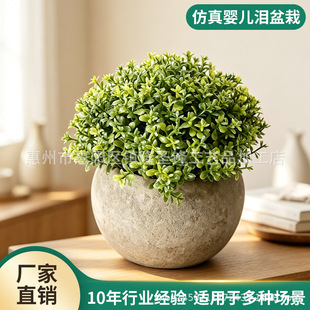 ����냺�I�����辰�پGֲ���Ի������С����������b�����ֲ��
